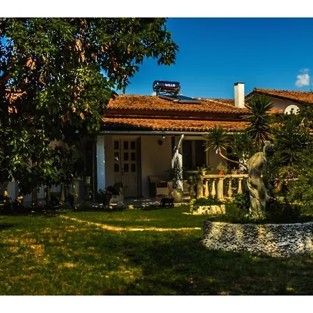 Apartment Jasmin Studio 1 *